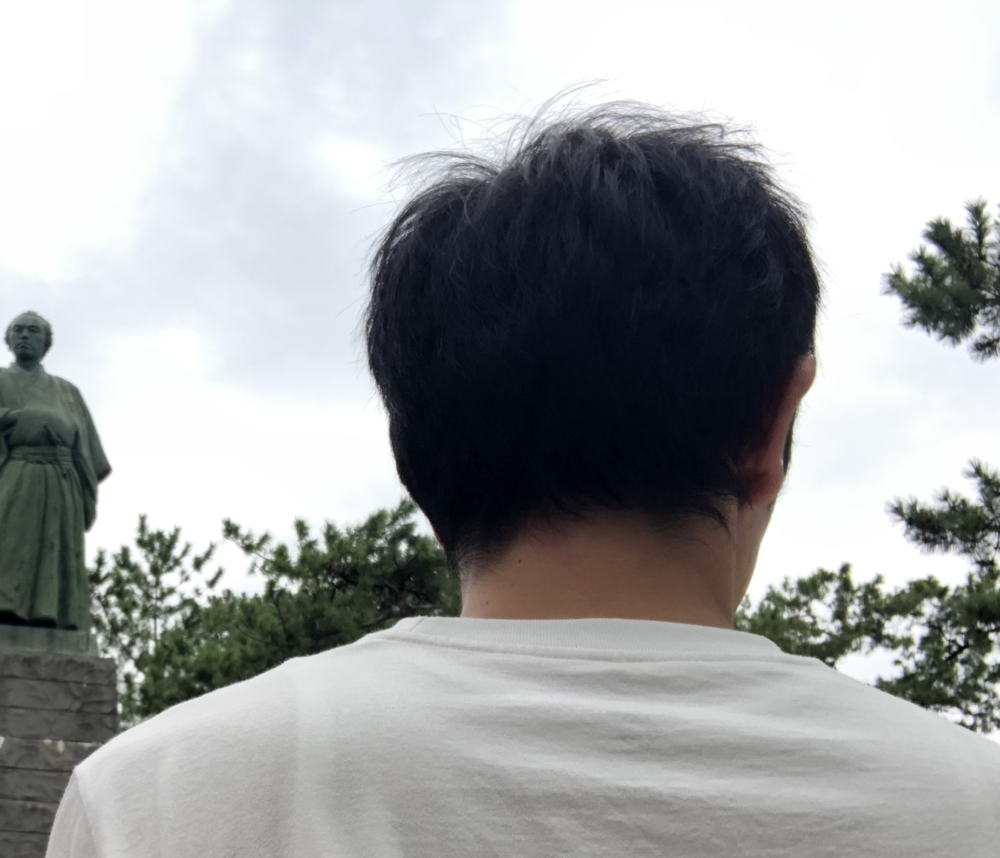 排卵日付近で性行為をし 生理予定日から2週間経っても妊娠検査薬で陰